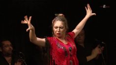 [ID: KnePHFa2qeg] Youtube Automatic