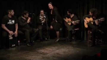 [ID: K_oq4drnxIA] Youtube Automatic