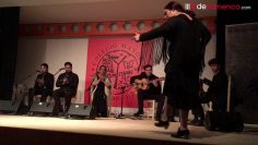 [ID: kRsZdkjTHyk] Youtube Automatic