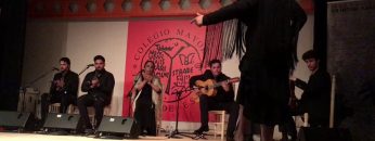 [ID: kRsZdkjTHyk] Youtube Automatic