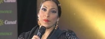 [ID: kT8XZvECTX8] Youtube Automatic