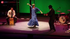 [ID: KUmaKsz7SnU] Youtube Automatic