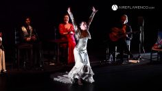 [ID: kV63uszEwa0] Youtube Automatic