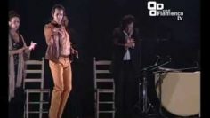 [ID: kWGZ9g8wKE0] Youtube Automatic