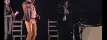 [ID: kWGZ9g8wKE0] Youtube Automatic