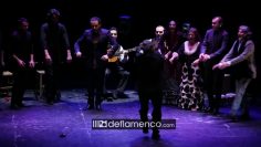 [ID: _L8wppunhzc] Youtube Automatic