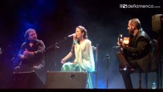 [ID: la-vudf_YwA] Youtube Automatic