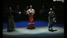 [ID: LDWqkwqiAMA] Youtube Automatic