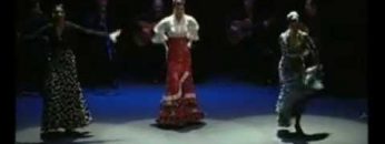 [ID: LDWqkwqiAMA] Youtube Automatic