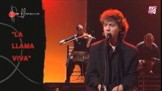 [ID: lefuPCjjJWw] Youtube Automatic