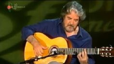 [ID: -lEpd2d5bGQ] Youtube Automatic