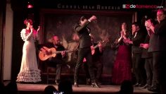 [ID: LGfBfvbL1pA] Youtube Automatic