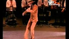 [ID: LI9kVZuL2qo] Youtube Automatic