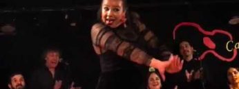 [ID: LK4Uj5nEng4] Youtube Automatic