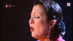 [ID: lkCyl9gNvJ8] Youtube Automatic