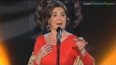 [ID: LlkOmEA6i8U] Youtube Automatic