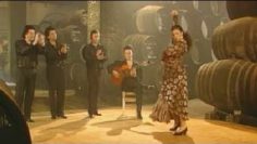 [ID: lOjKTa70qYc] Youtube Automatic