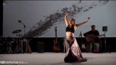 [ID: luGhUC05kZg] Youtube Automatic