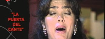 [ID: lux_1qerPHI] Youtube Automatic