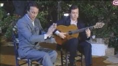 [ID: lVRuTgYuKrI] Youtube Automatic