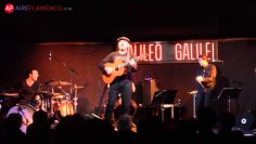 [ID: -lwCFMoP7uc] Youtube Automatic