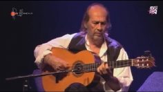 [ID: m1TqoCifKf8] Youtube Automatic