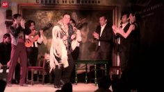 [ID: M4dcfVFKe64] Youtube Automatic