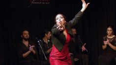 [ID: M6FEawD9CCE] Youtube Automatic