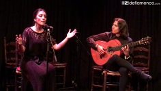 [ID: m8gtjW881YU] Youtube Automatic