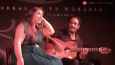 [ID: M8yAB5-MtuY] Youtube Automatic