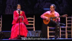 [ID: MB-W6Kgk3uc] Youtube Automatic