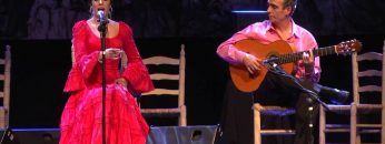 [ID: MB-W6Kgk3uc] Youtube Automatic