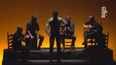 [ID: mB2S6zyYAes] Youtube Automatic