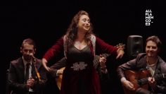 [ID: MErks-ezdkU] Youtube Automatic