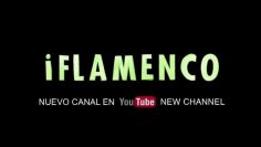 [ID: mfn3Sca–w0] Youtube Automatic