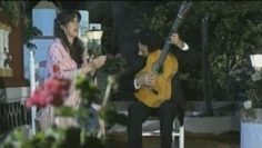 [ID: MHb_cHoN67A] Youtube Automatic