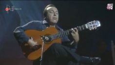 [ID: MI5MhZMS73Q] Youtube Automatic