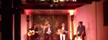 [ID: miUbgPCSr-Y] Youtube Automatic