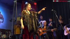 [ID: miyBbxZz0Iw] Youtube Automatic