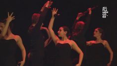 [ID: MjO9ZYbHnDU] Youtube Automatic