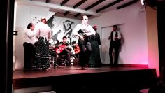 [ID: MJQkYZ5pGH0] Youtube Automatic