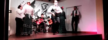 [ID: MJQkYZ5pGH0] Youtube Automatic