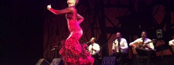 [ID: MKM_f9d_D7E] Youtube Automatic