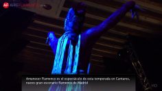 [ID: mLlTHP3x41U] Youtube Automatic