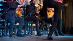 [ID: MOyqHwI_usg] Youtube Automatic