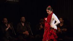 [ID: MqFOoVdrQHo] Youtube Automatic