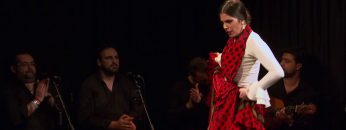 [ID: MqFOoVdrQHo] Youtube Automatic