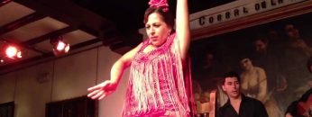 [ID: MQuC_x_Czgo] Youtube Automatic