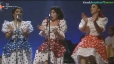 [ID: Ms6UNTzUspk] Youtube Automatic