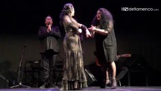 [ID: msXvaU7mFqk] Youtube Automatic